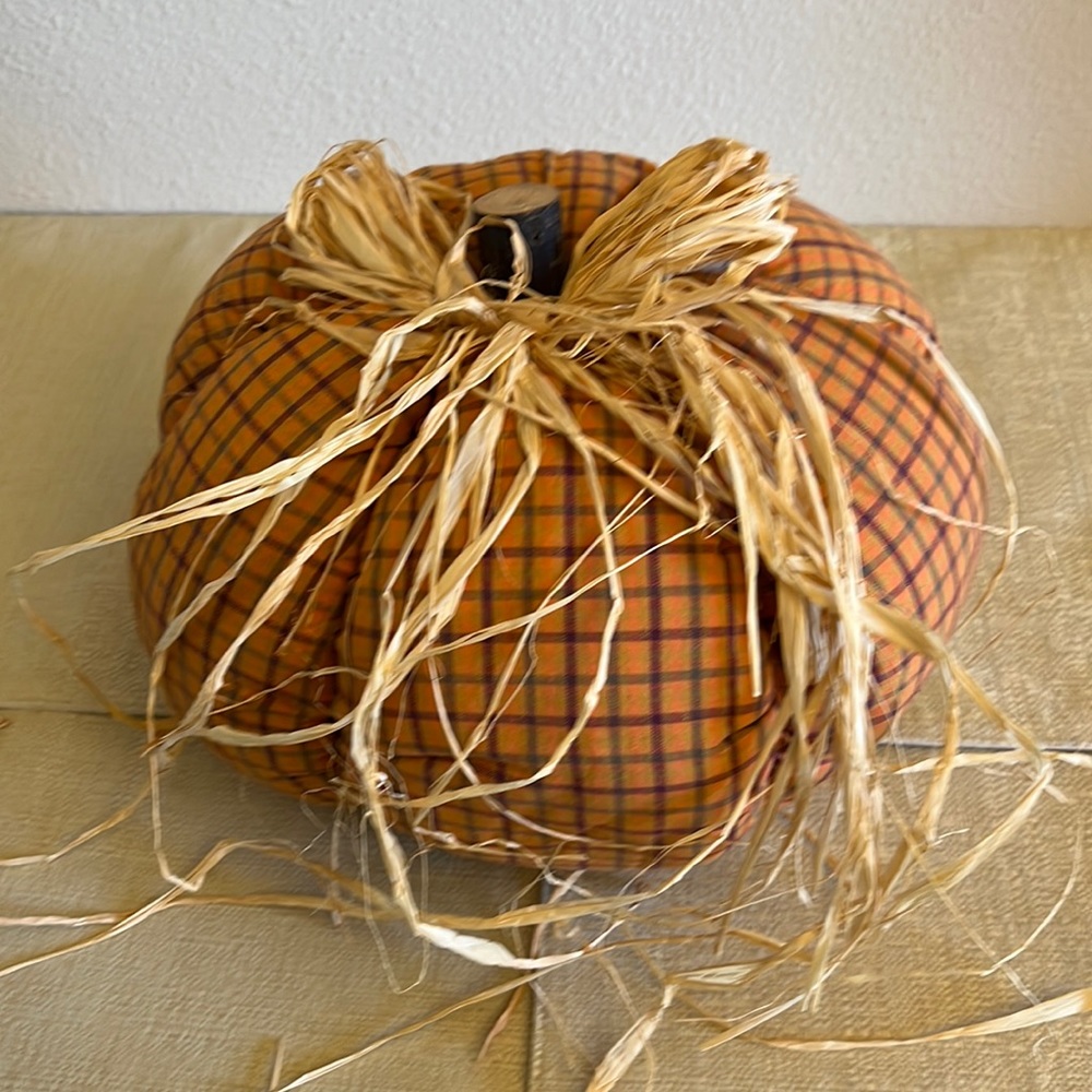 NWOT  Pumpkin with Foe Straw Accents